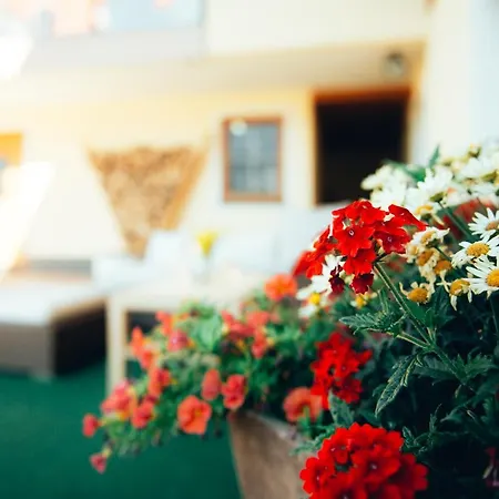 Almajur Hotel